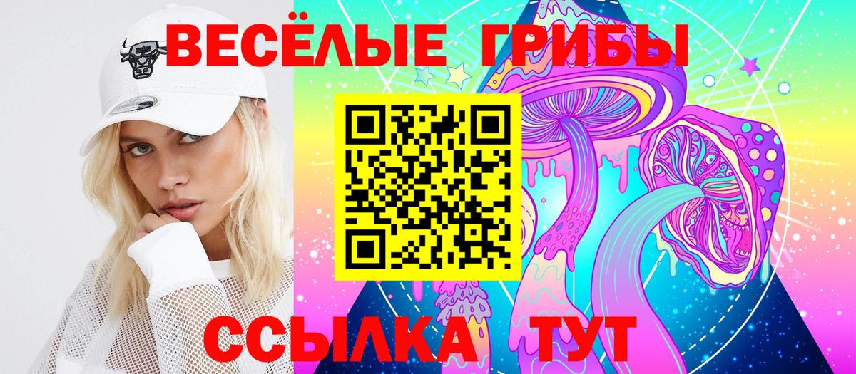 где купить наркоту  Псилоцибиновые грибы Psilocybine cubensis  Вход с VPN  Псилоцибиновые грибы MAGIC MUSHROOMS  Верхняя Салда 