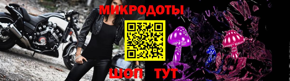 Псилоцибиновые грибы прущие грибы Верхняя Салда
